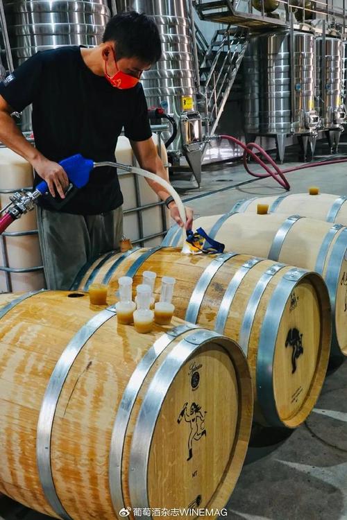 中國葡萄酒新勢力 釀松弛的酒，做最“野”的標